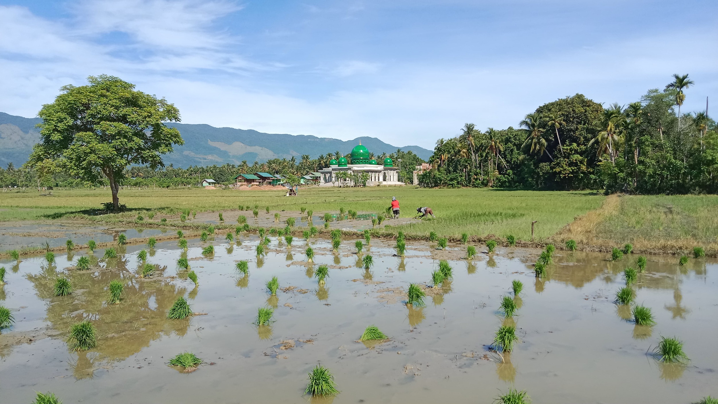 Konteks kawasan pertanian Aceh Besar