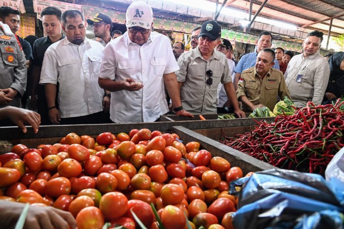 Pj Bupati Aceh Besar Dampingi Gubernur Pantau Stok dan Harga Pangan di Pasar Lambaro