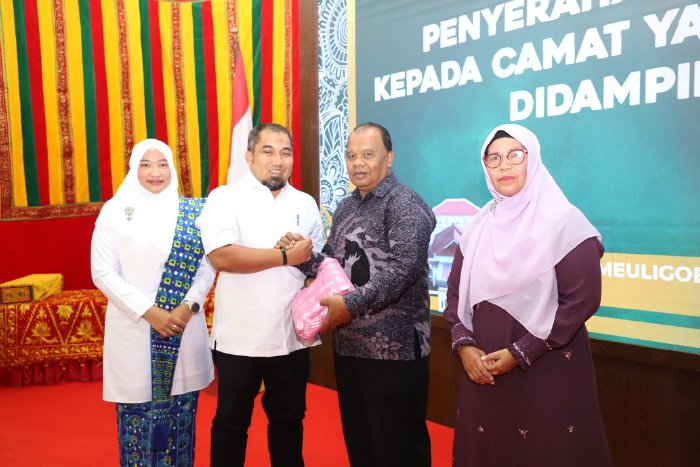Pj Bupati Aceh Besar Lepas Purna Tugas Camat Baitussalam