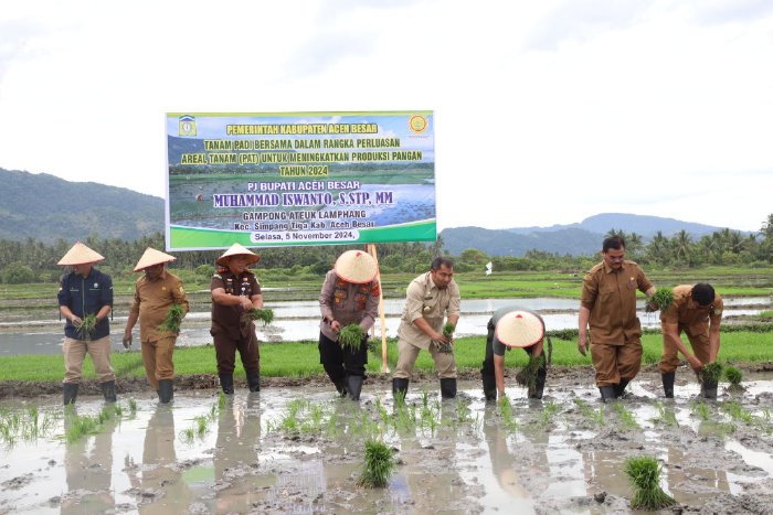 Pj Bupati Iswanto Bersama Forkopimda Tanam Padi Perdana di Simpang Tiga